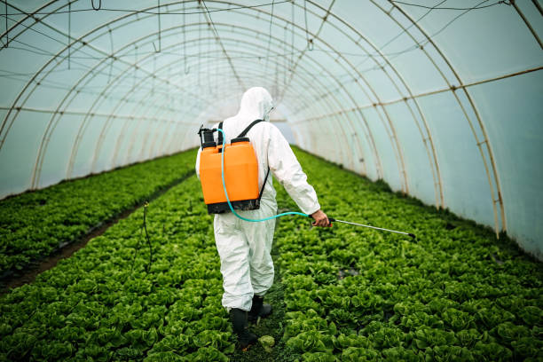 Best Best Pest Control Companies  in Pajaro, CA