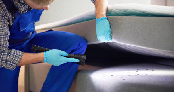 Best Pest Control for Homes  in Pajaro, CA