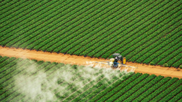 Best Local Pest Control Services  in Pajaro, CA