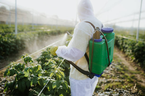 Best Pest Inspection Near Me  in Pajaro, CA